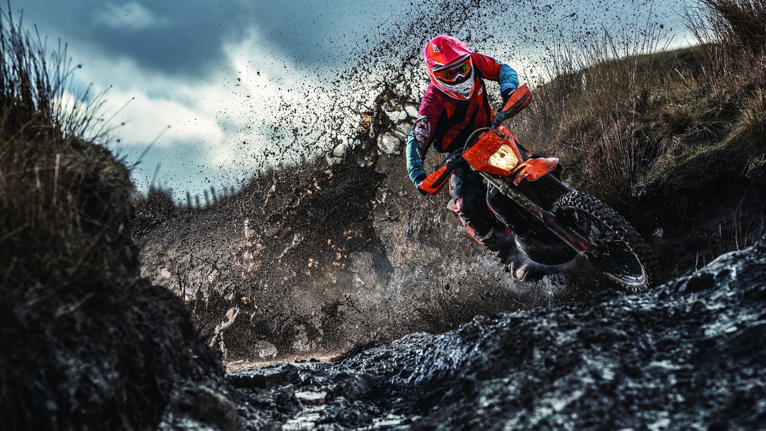 Jiu You-蛙泳中程中立代表队A节奏掌控到位，蛙泳中级